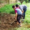 شغل باغبانی برای کودکان