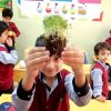میکروگرین ها و ریز سبزی ها در باغبانی کودکان