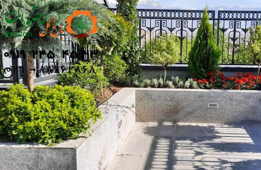 بهترین گیاهان برای طراحی فضای سبز بهترین گیاهان برای طراحی فضای سبز